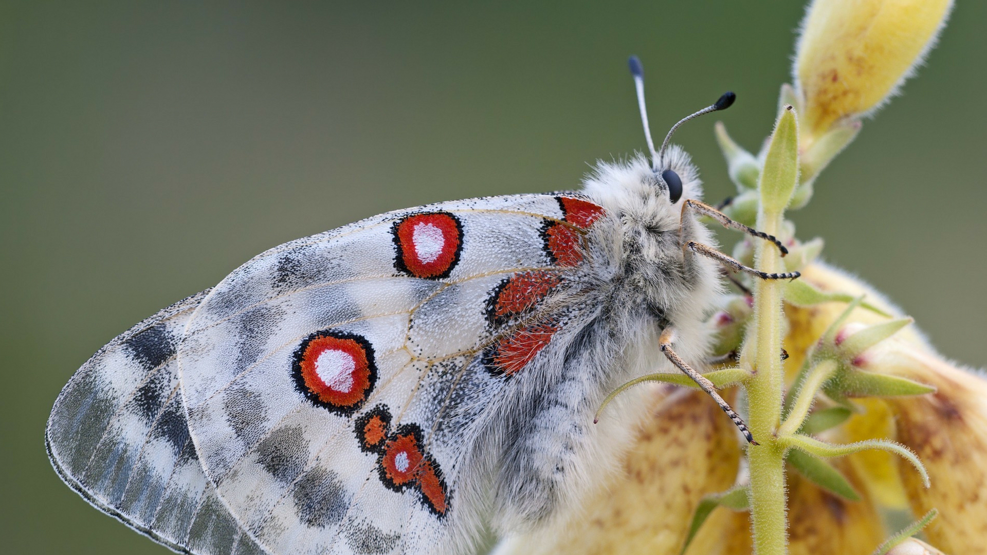 Oddać stery naturze — ilustracja