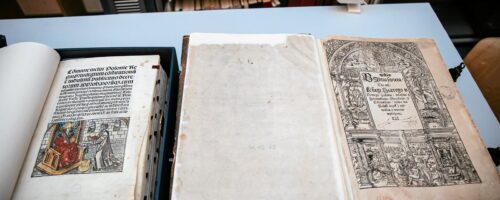 Marzenia biblisty — ilustracja