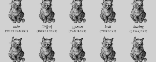 W&nbsp;poszukiwaniu wspólnego języka — ilustracja