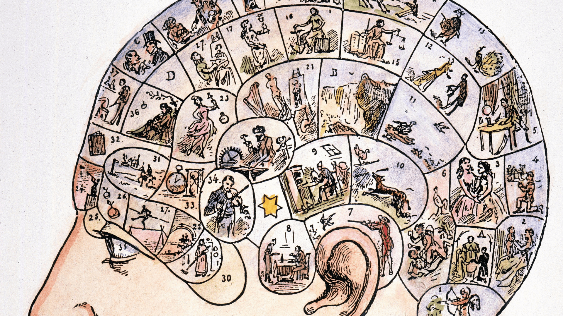 Krótka historia poznawania mózgu — ilustracja