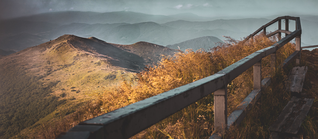 (fot. Marek Piwnicki / Unsplash)
