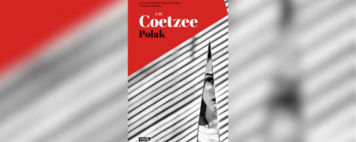 Chłodny romans — ilustracja