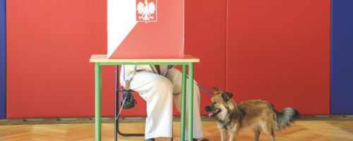 1 czerwca 2025 r., II tura wyborów prezydenckich w jednej z komisji wyborczych w Warszawie fot. Jacek Domiński/Reporter