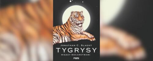 Miłość do&nbsp;dzikich kotów — ilustracja